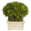 RECT BOXWOOD TOPIARY 12'' (GREEN)