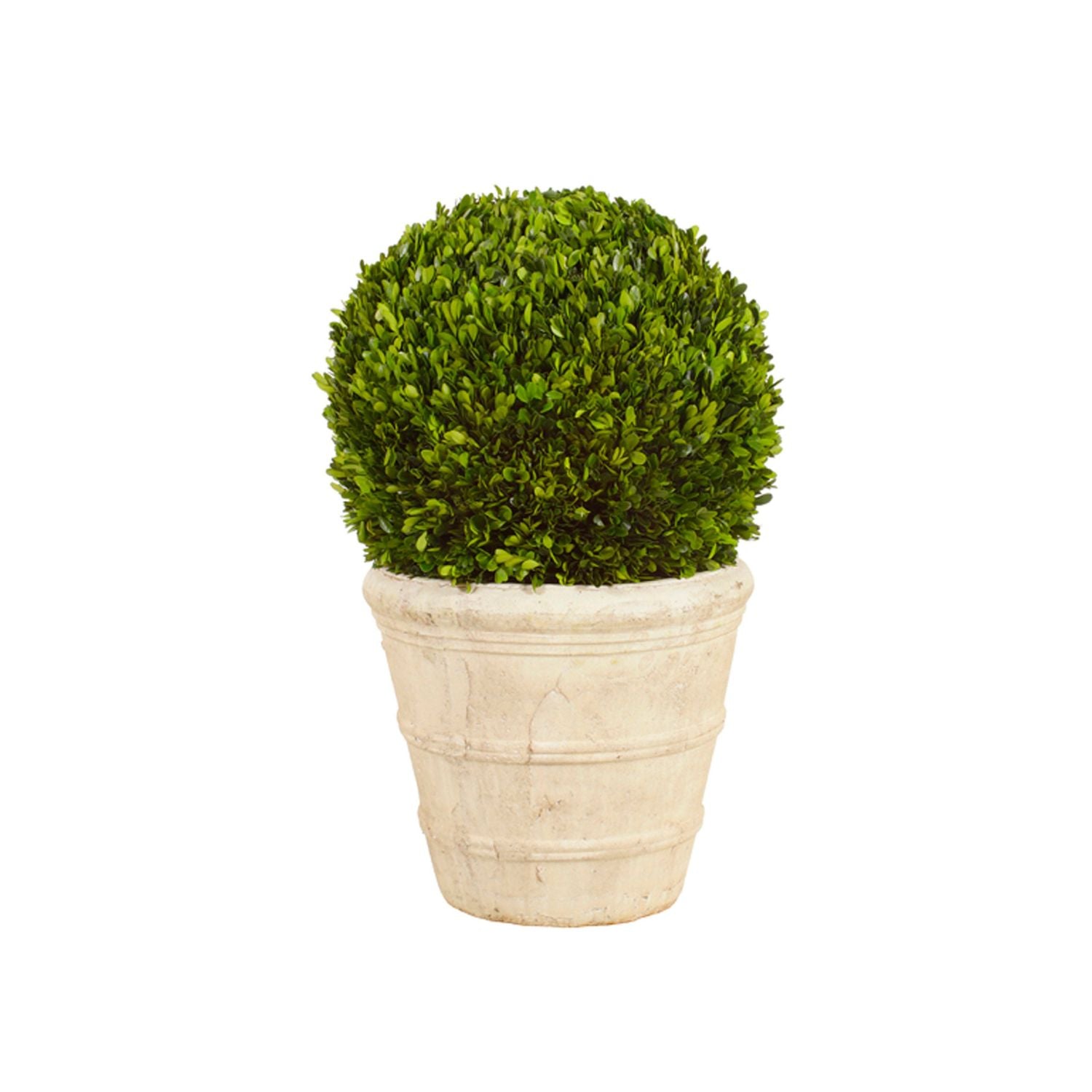 BOXWOOD BALL TOPIARY 30'' (GREEN)