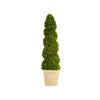 BOXWOOD SPIRAL TOPIARY 51'' (GREEN)