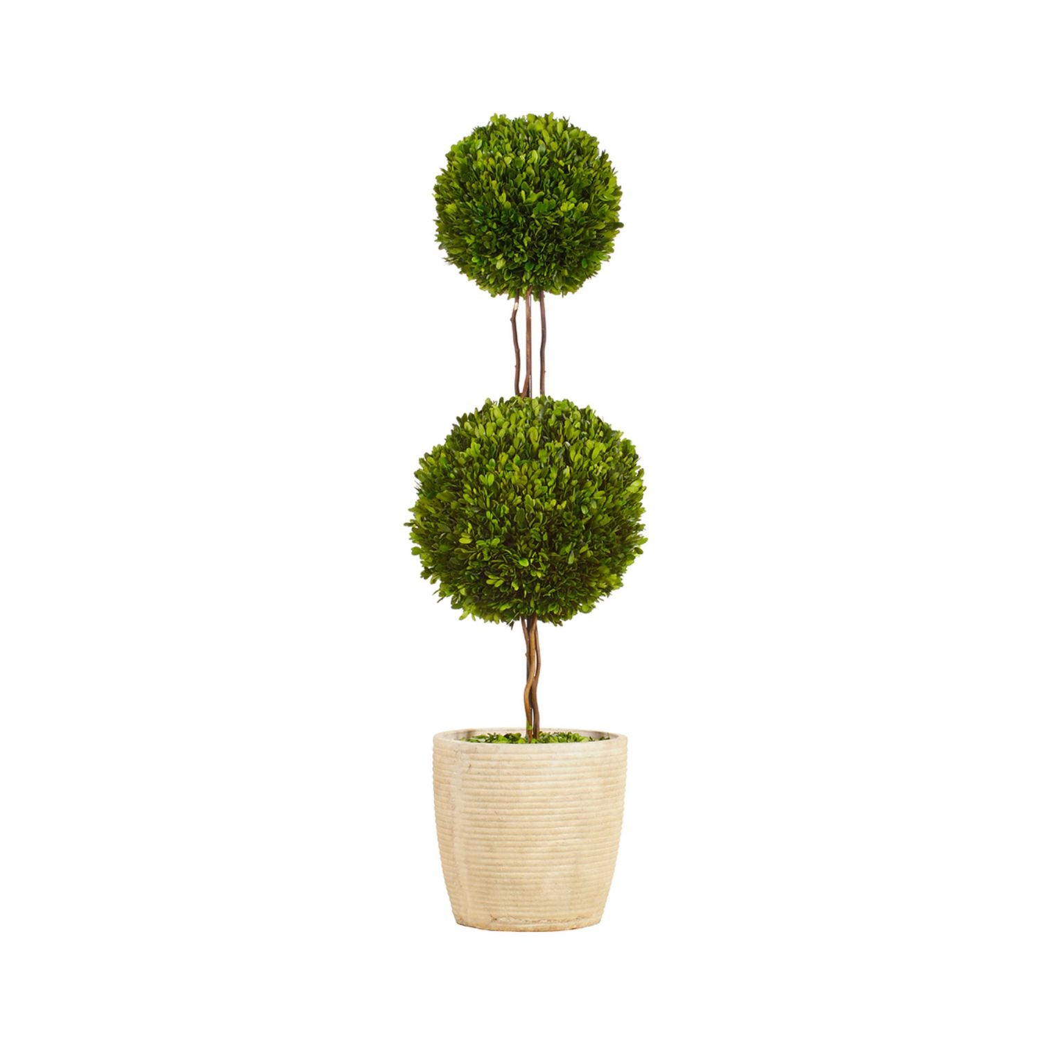 DOUBLE BALL BOXWOOD TOPIARY 51'' (GREEN)