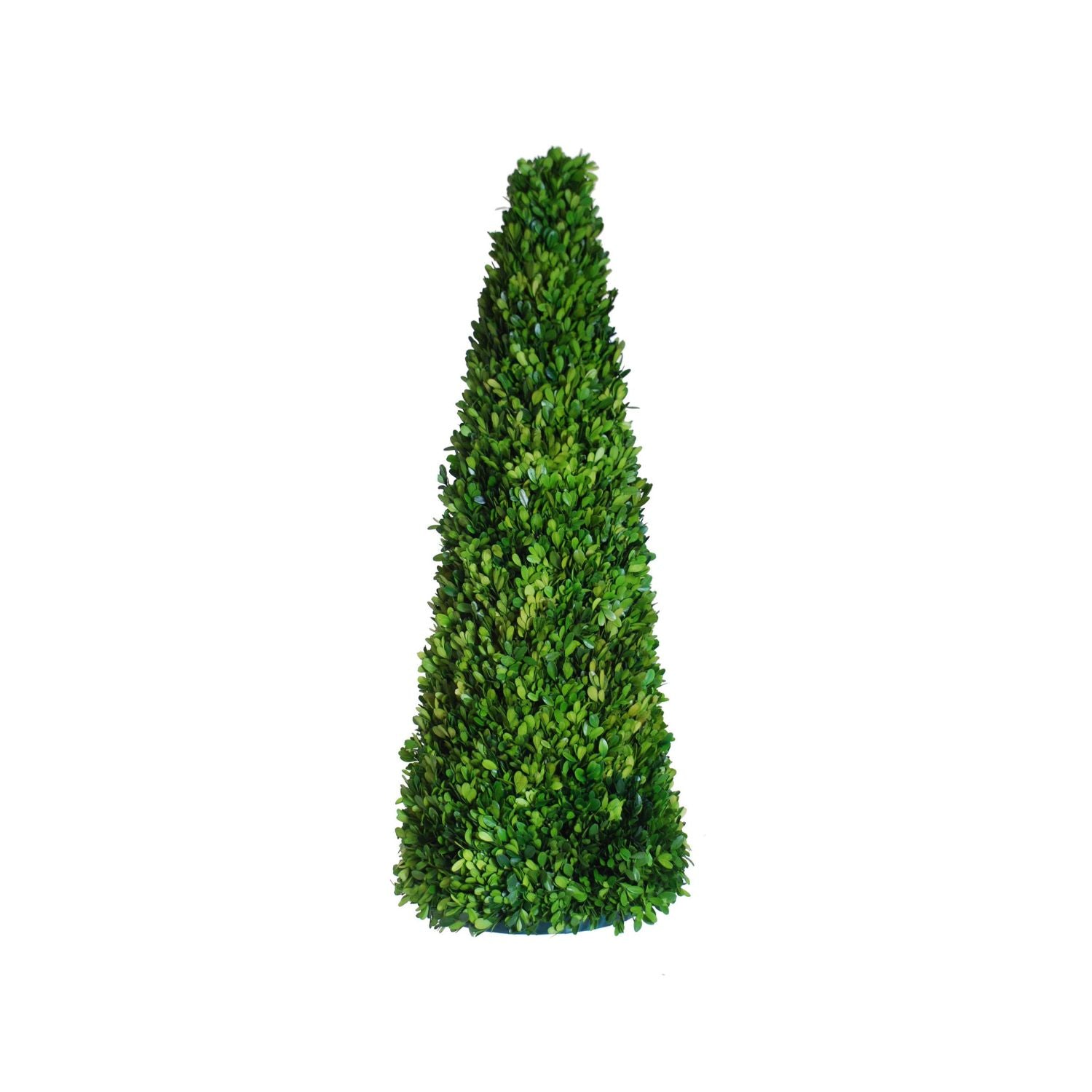 Preserve Boxwood Topiary 35" (Green)