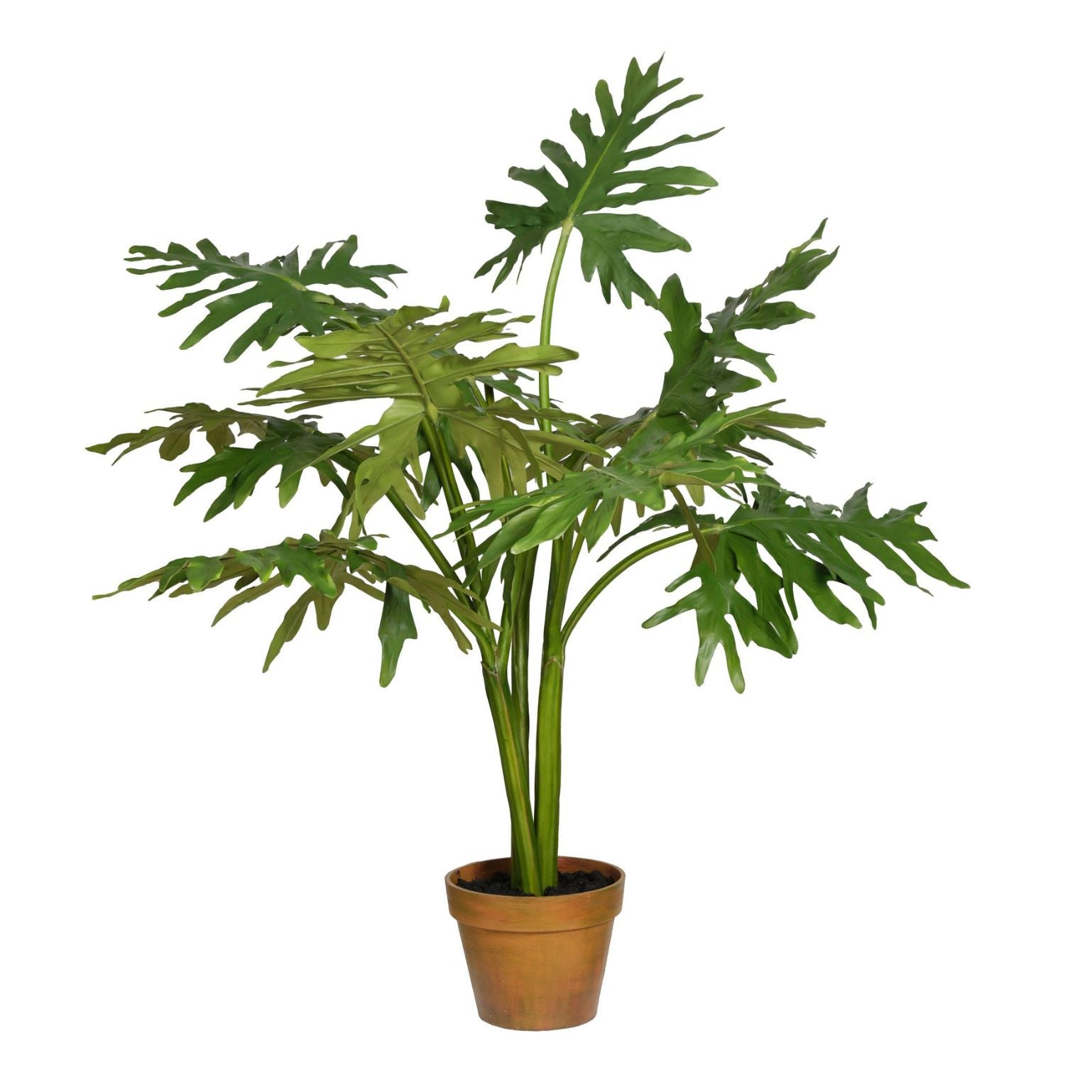 LEAF CUSP MONSTERA TREE 57'' (GREEN)