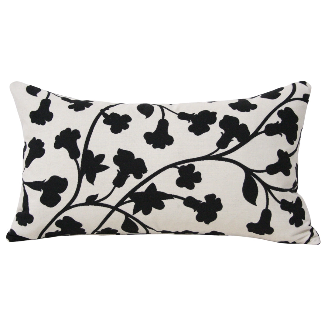 Perrenial Tuxedo (Last Chance)