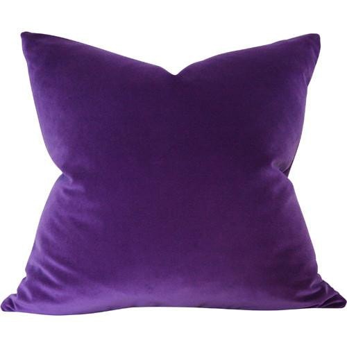 Purple Velvet (Last Chance)