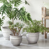 Carmela Pots, Set of 3
