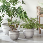Carmela Pots, Set of 3