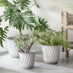 Laila Pots, Set of 3
