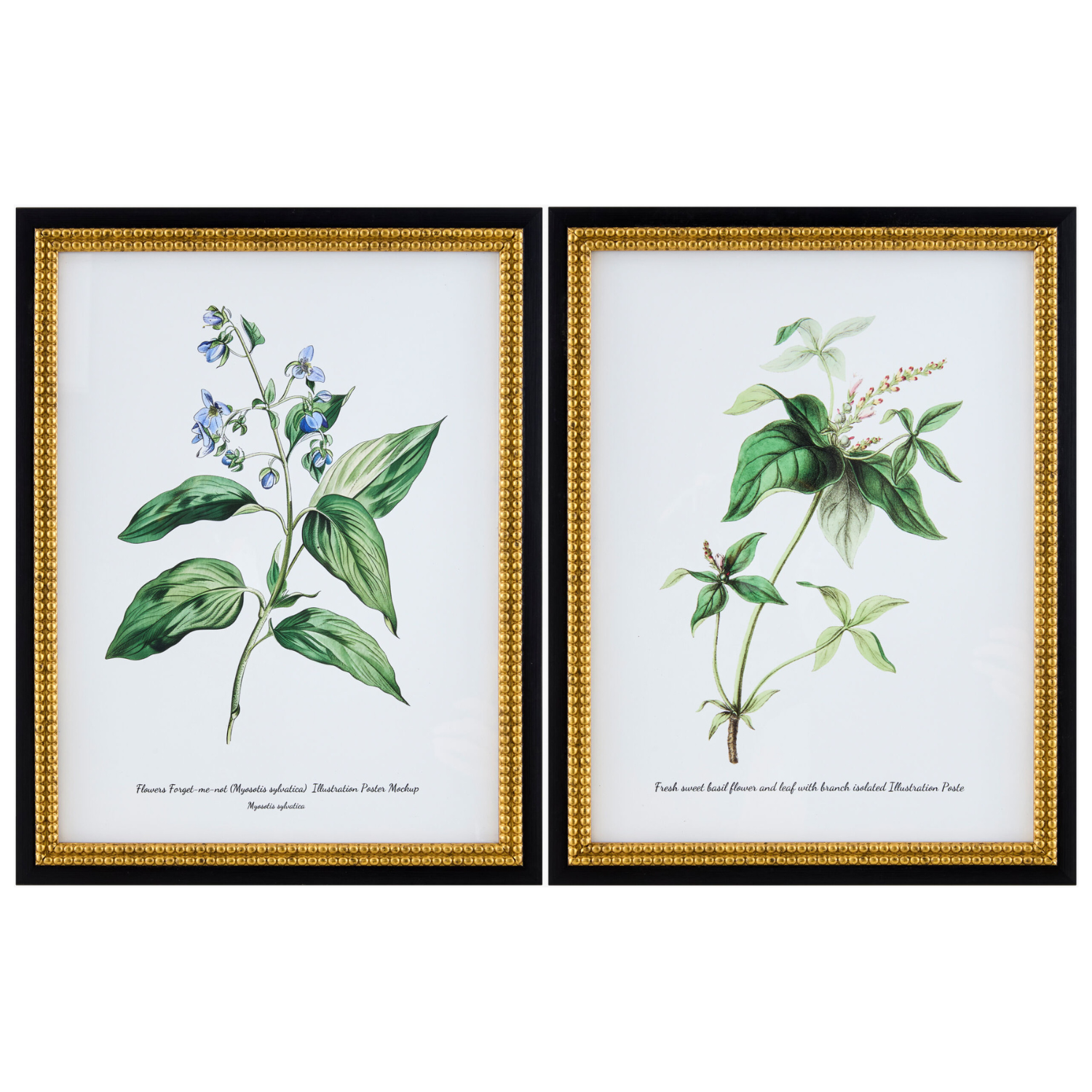 Midsummer Framed Art