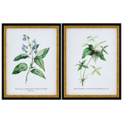 Midsummer Framed Art