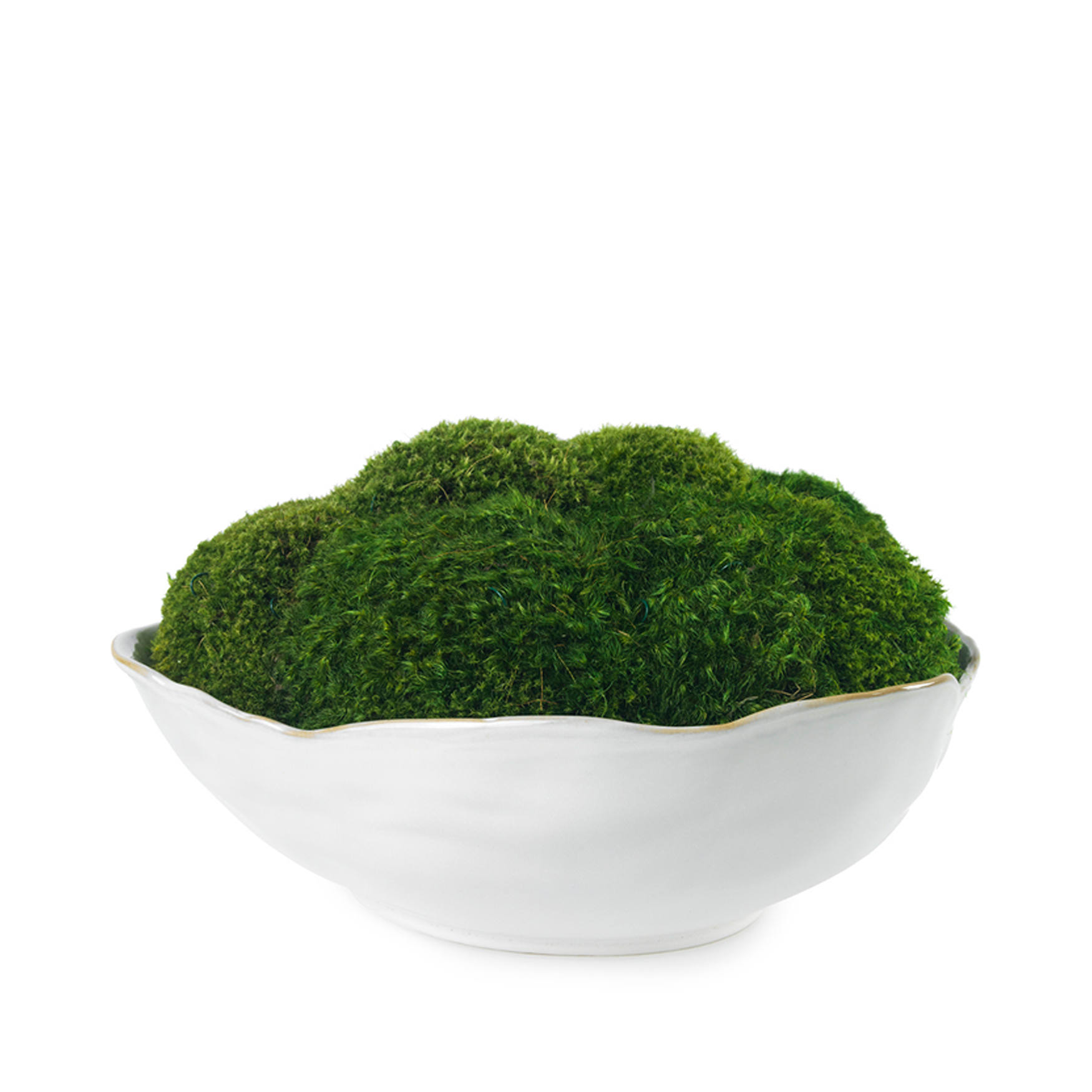 Mossy Mood