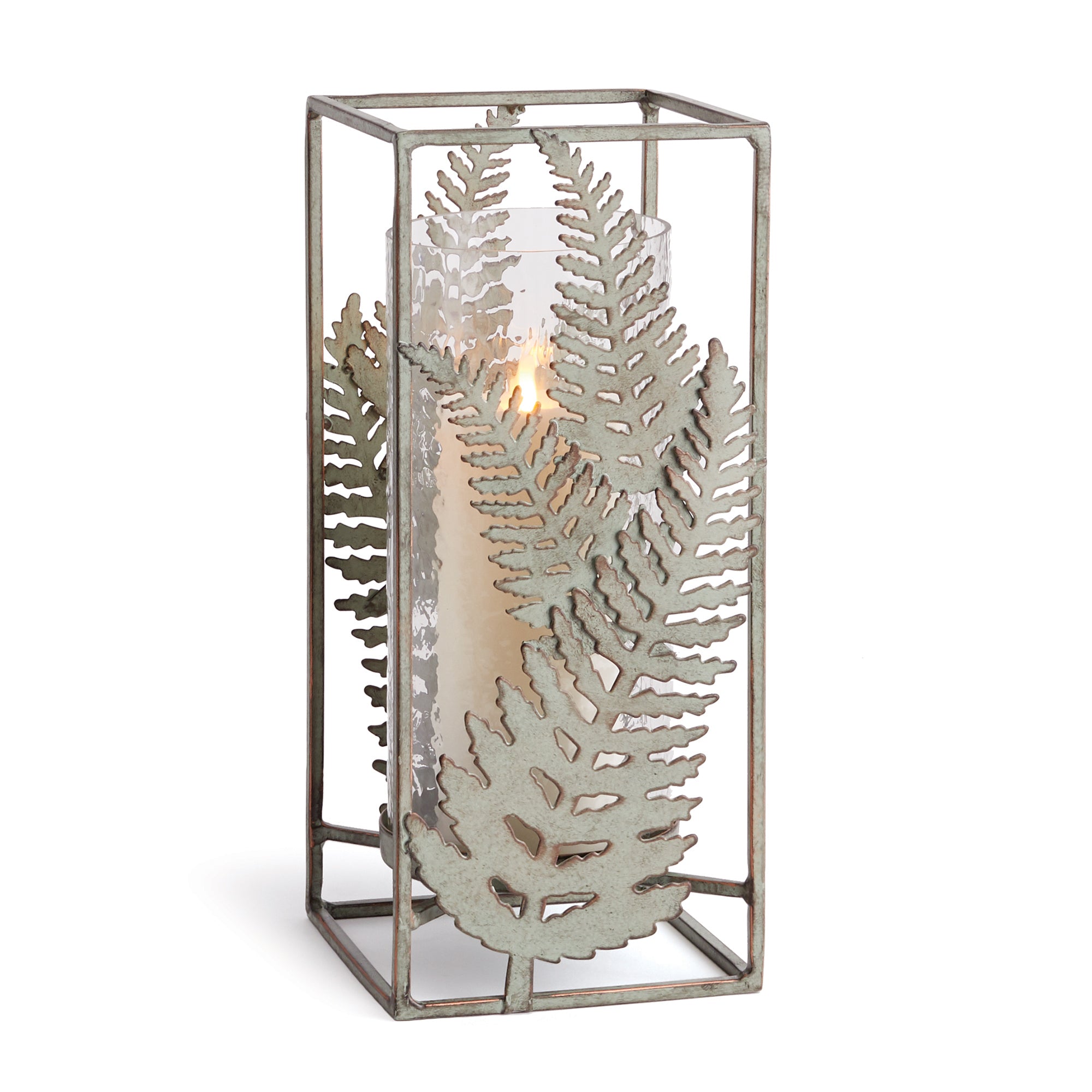 Silvery Fern Hurricane Large