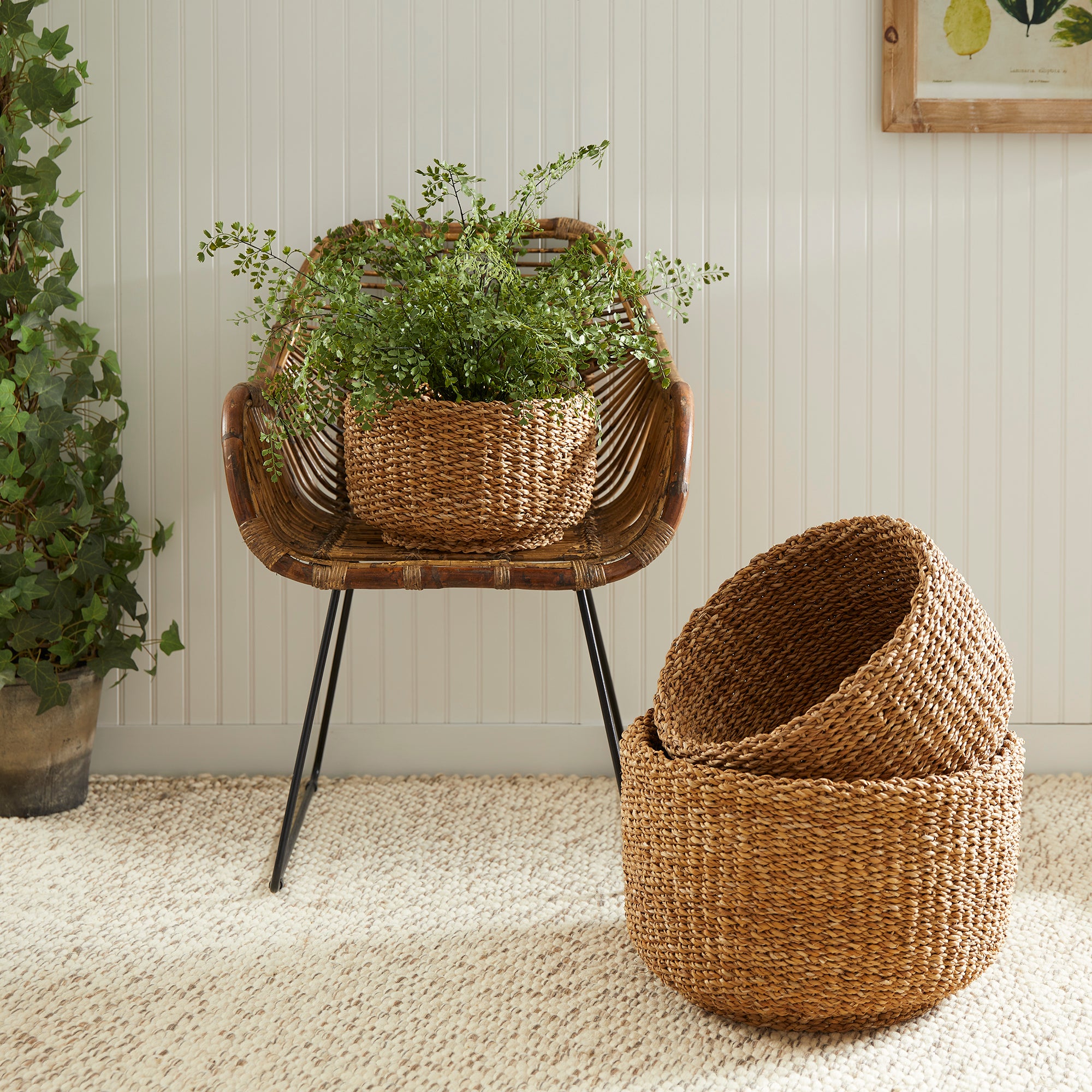 Seagrove Cylindrical Baskets, Set of 3