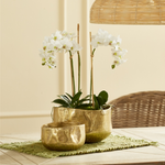 Ariana Plant Pots Set of 2