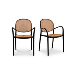 Flavia Outdoor Dining Chair - Set of 2