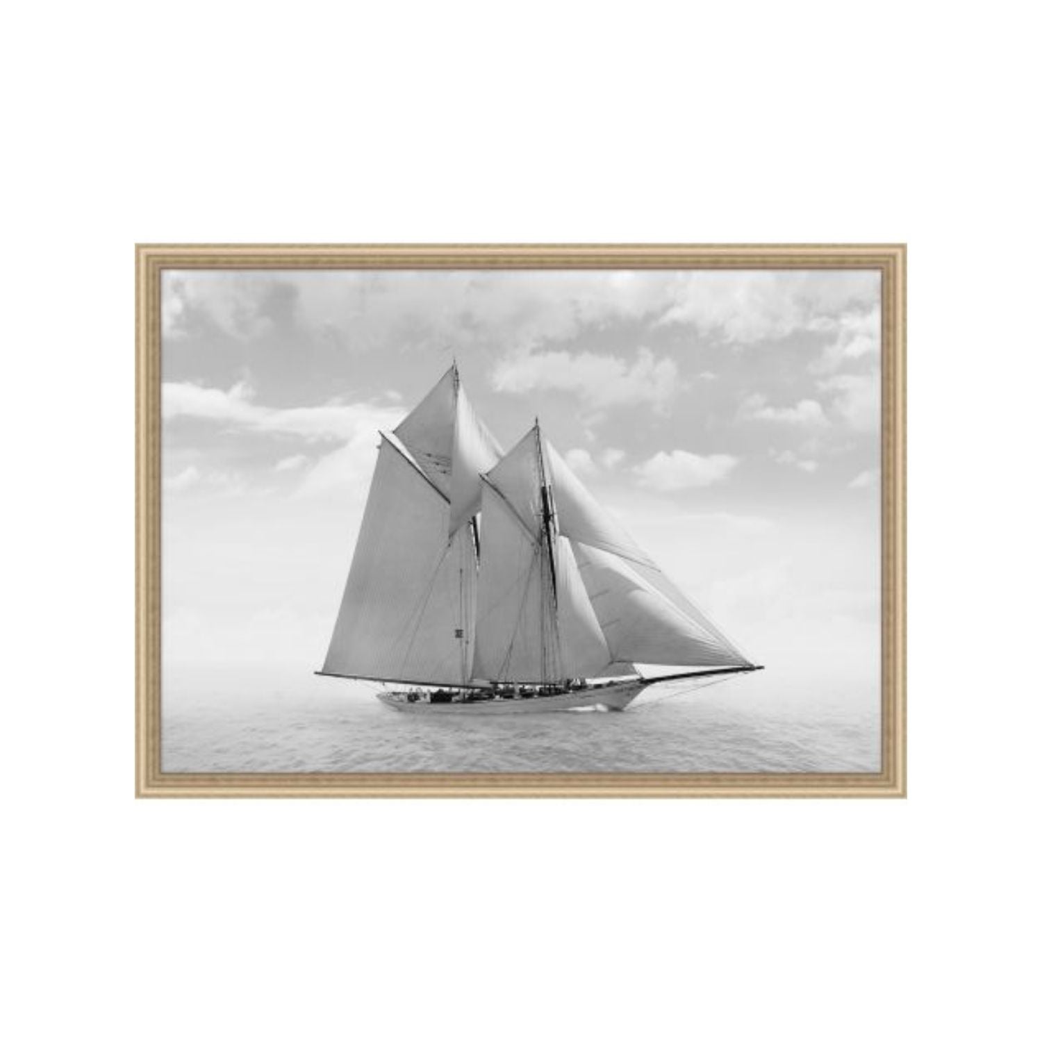 Starboard Perspective