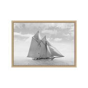 Starboard Perspective