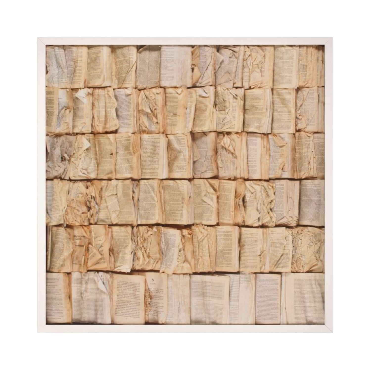 Cooking the Books, White Shadowbox