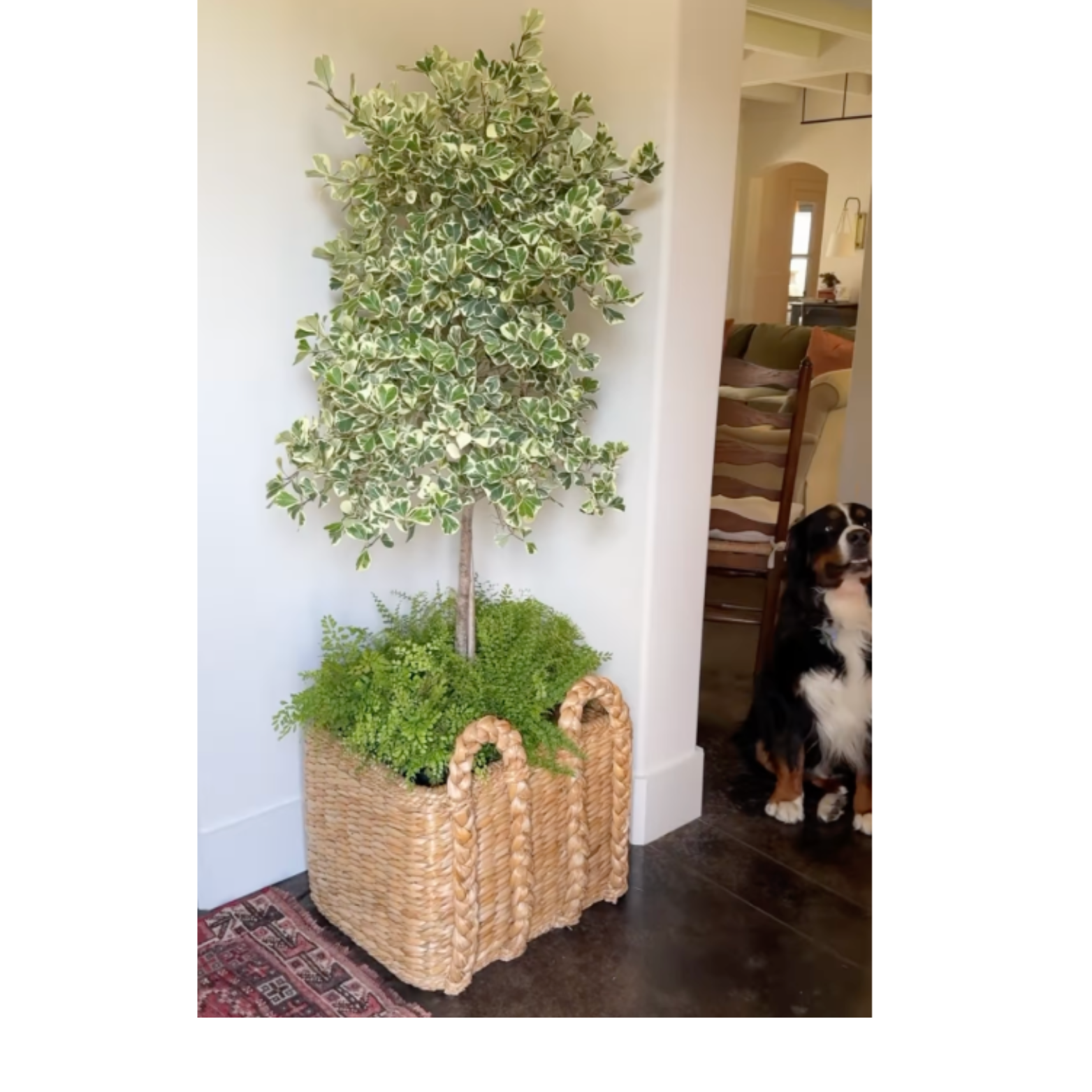 Large Rectangular Rush Basket