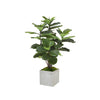 FIDDLE LEAF FIG TREE - SMALL (GREEN)