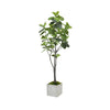 FIDDLE LEAF FIG TREE - LARGE (GREEN)