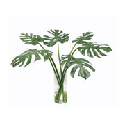 Multi Monstera in Vase