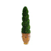 BOXWOOD SPIRAL IN TUSCAN URN (COFFEE)