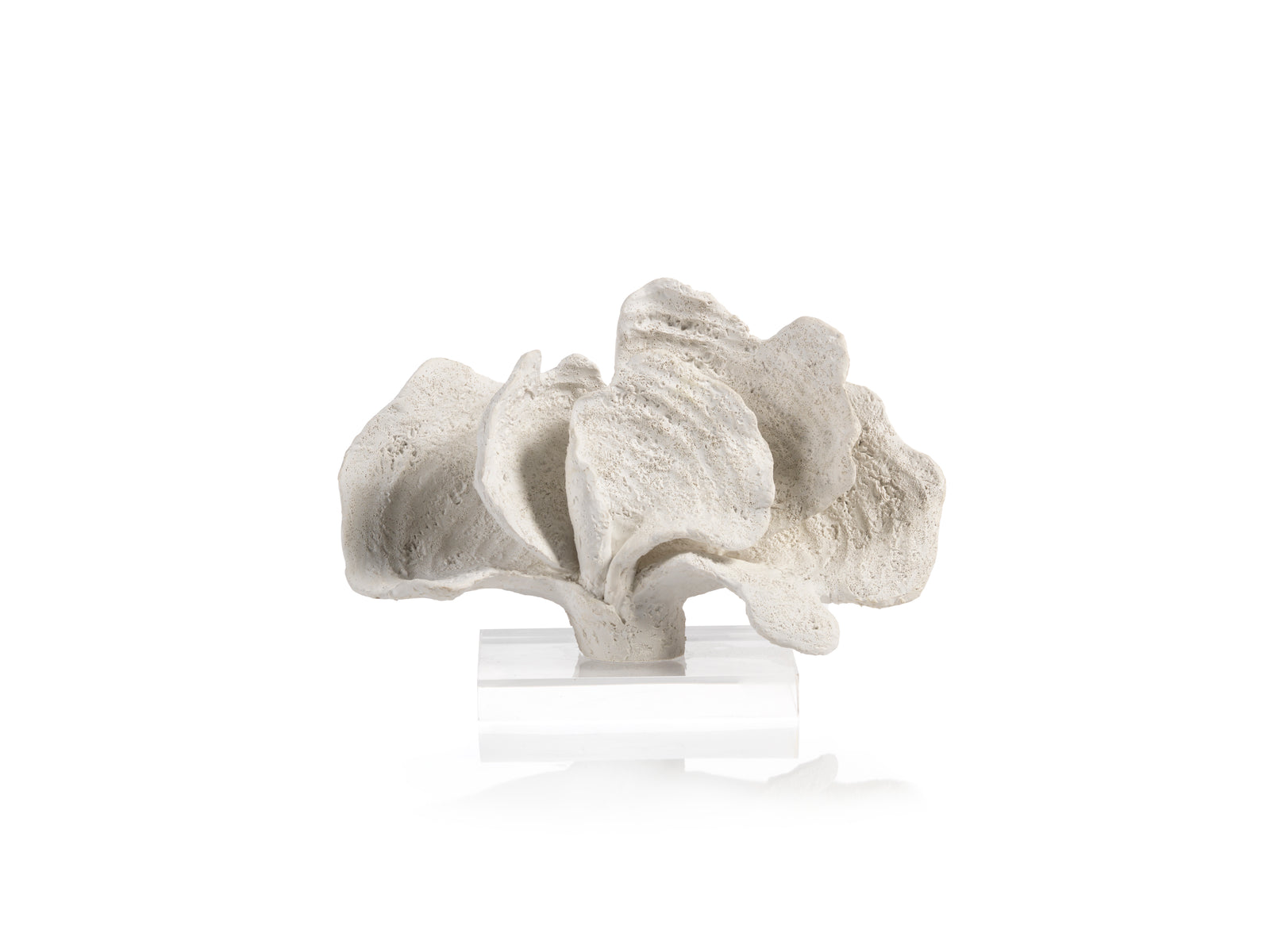 7-Inch Tall Riley Coral Sculpture on Acrylic Base, White