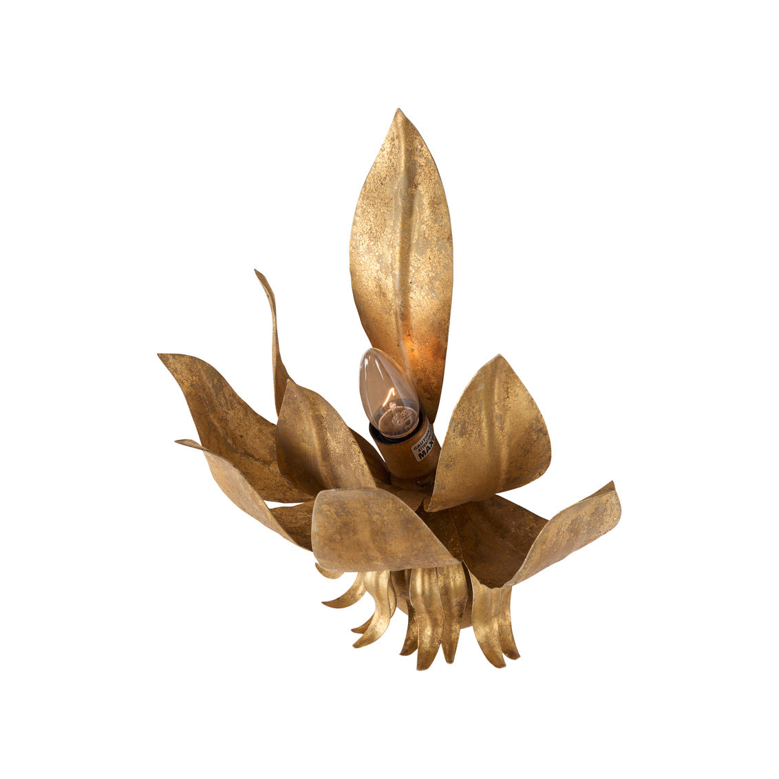 Potos Wall Sconce