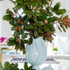 Santa Barbara Urn, Noonday Tide