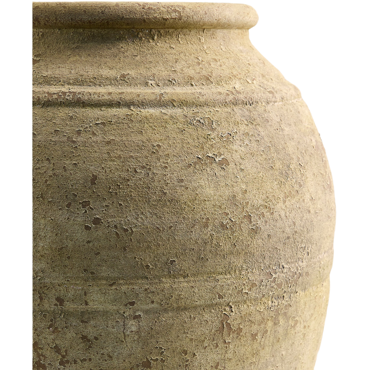 Aarush Vase