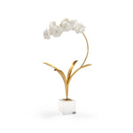 Orchid On Stand
