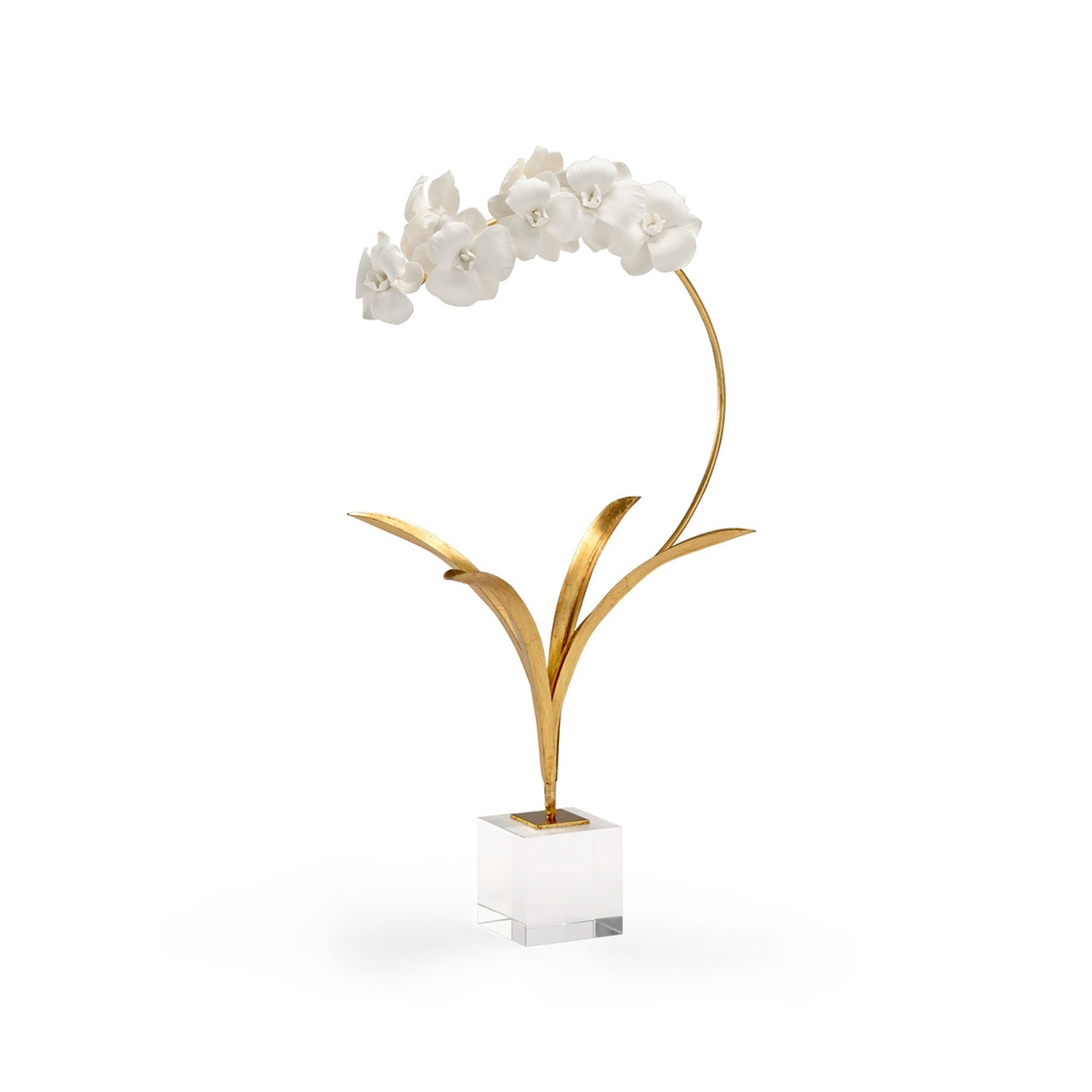 Orchid On Stand