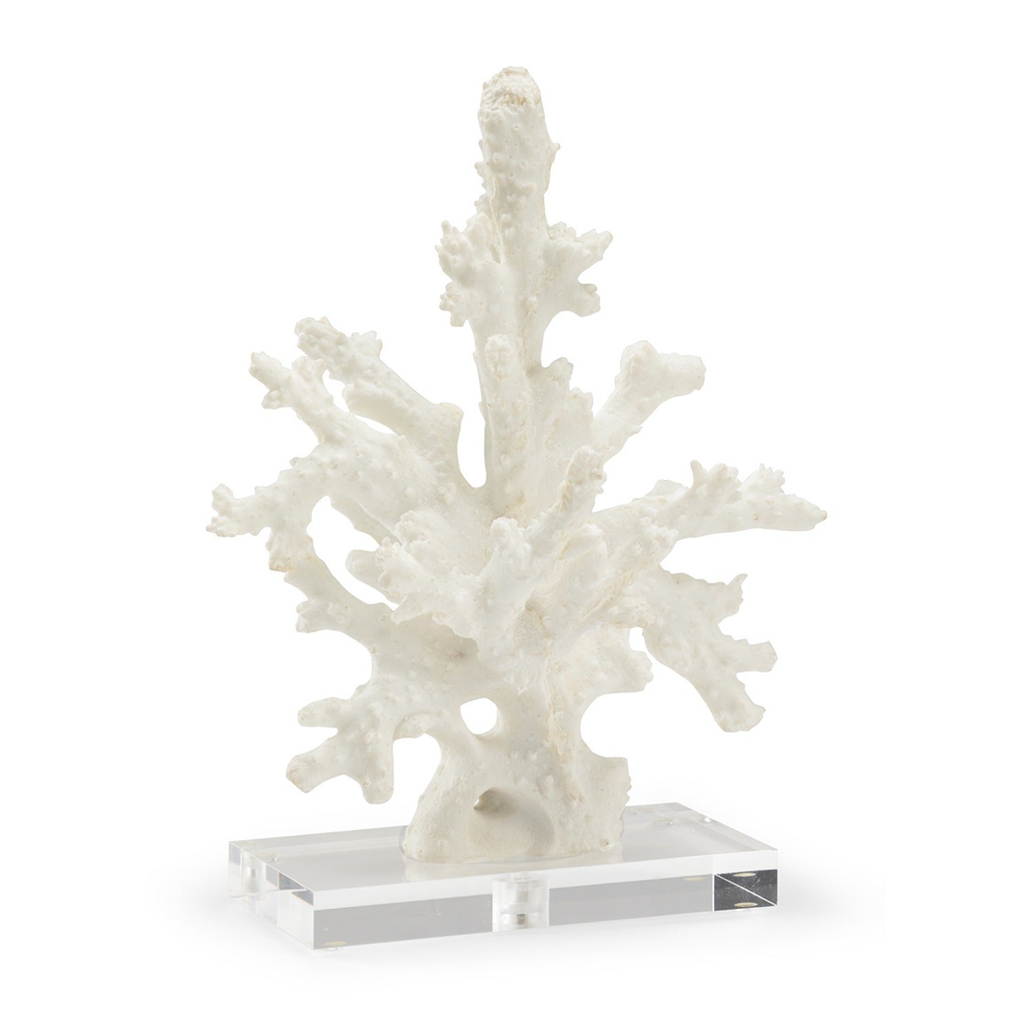 Coral Sculpture