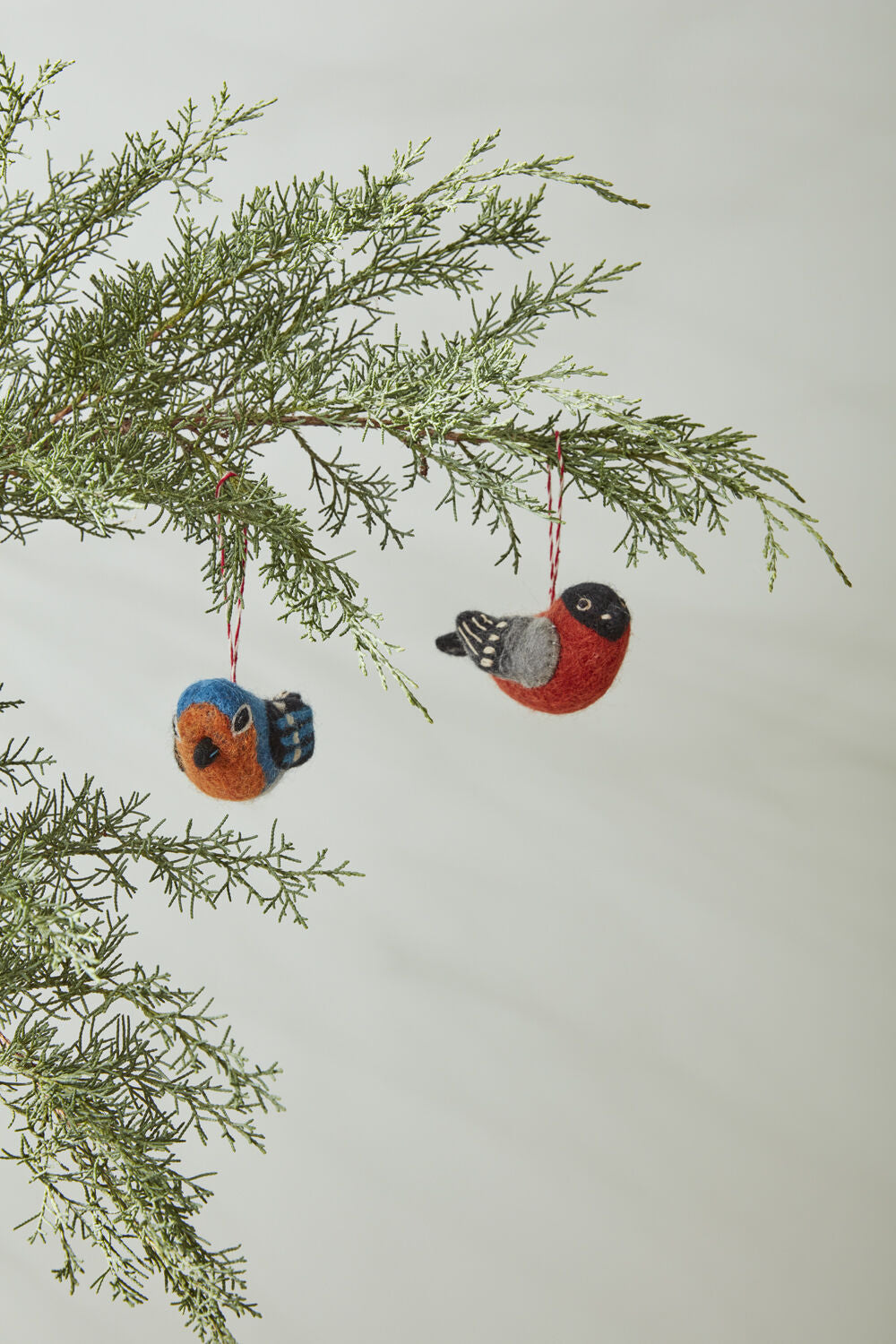 Cheery Chirp Ornament Set of 2