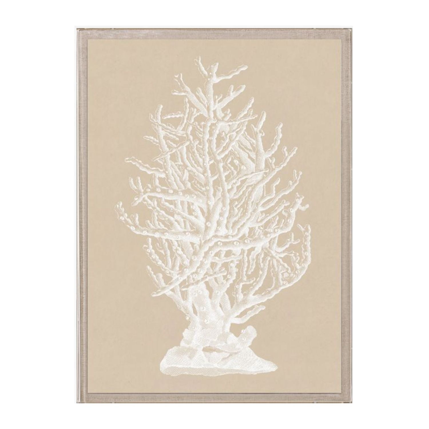 Chichester Coral 2