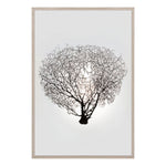 Nature Sea Fan 1