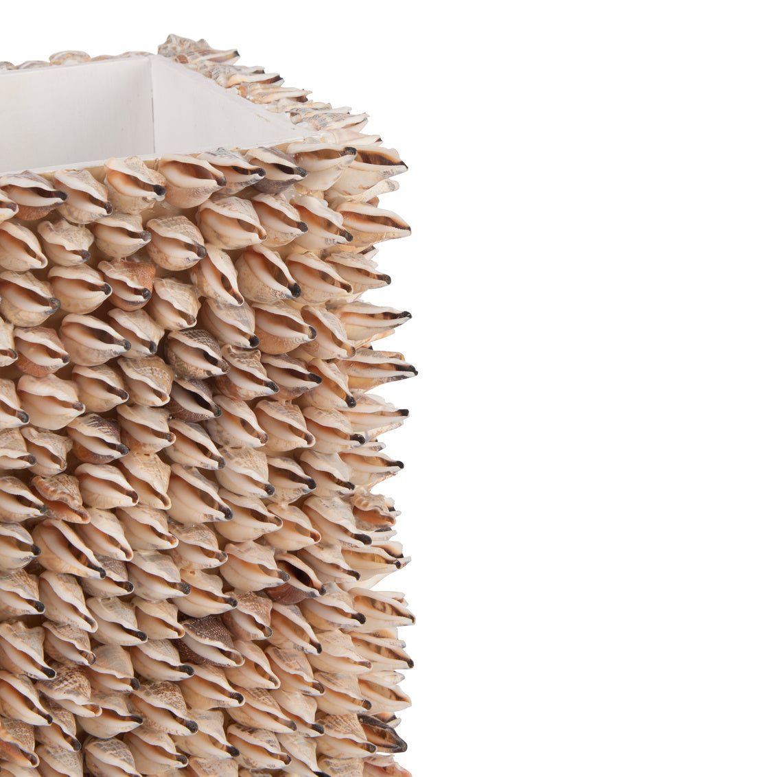 Shell Planter