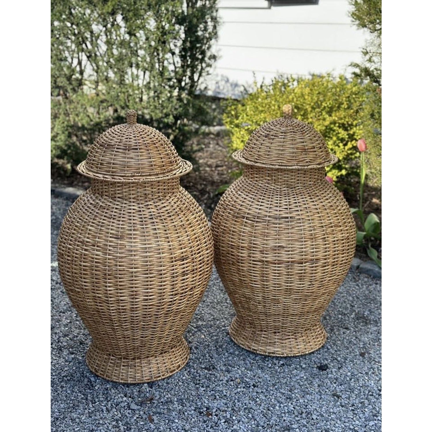 Jumbo Wicker Jar