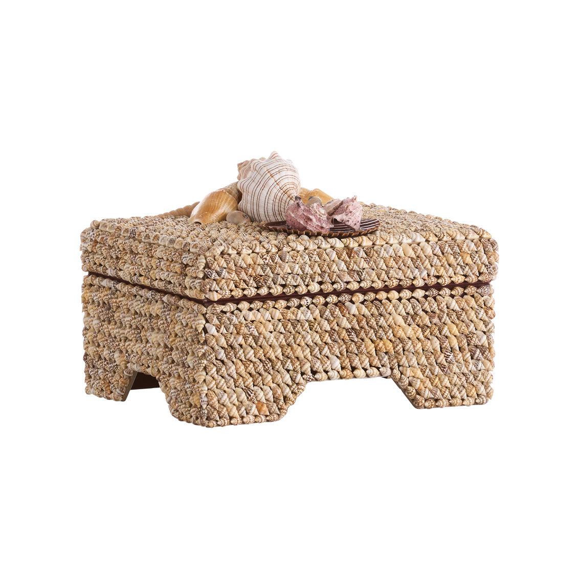 Island Shell Box