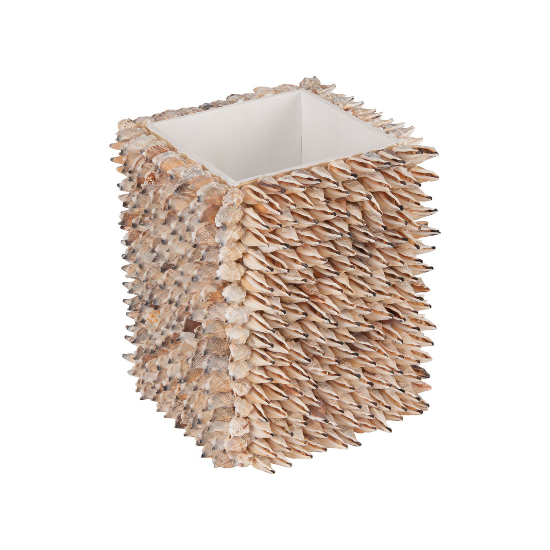 Shell Planter