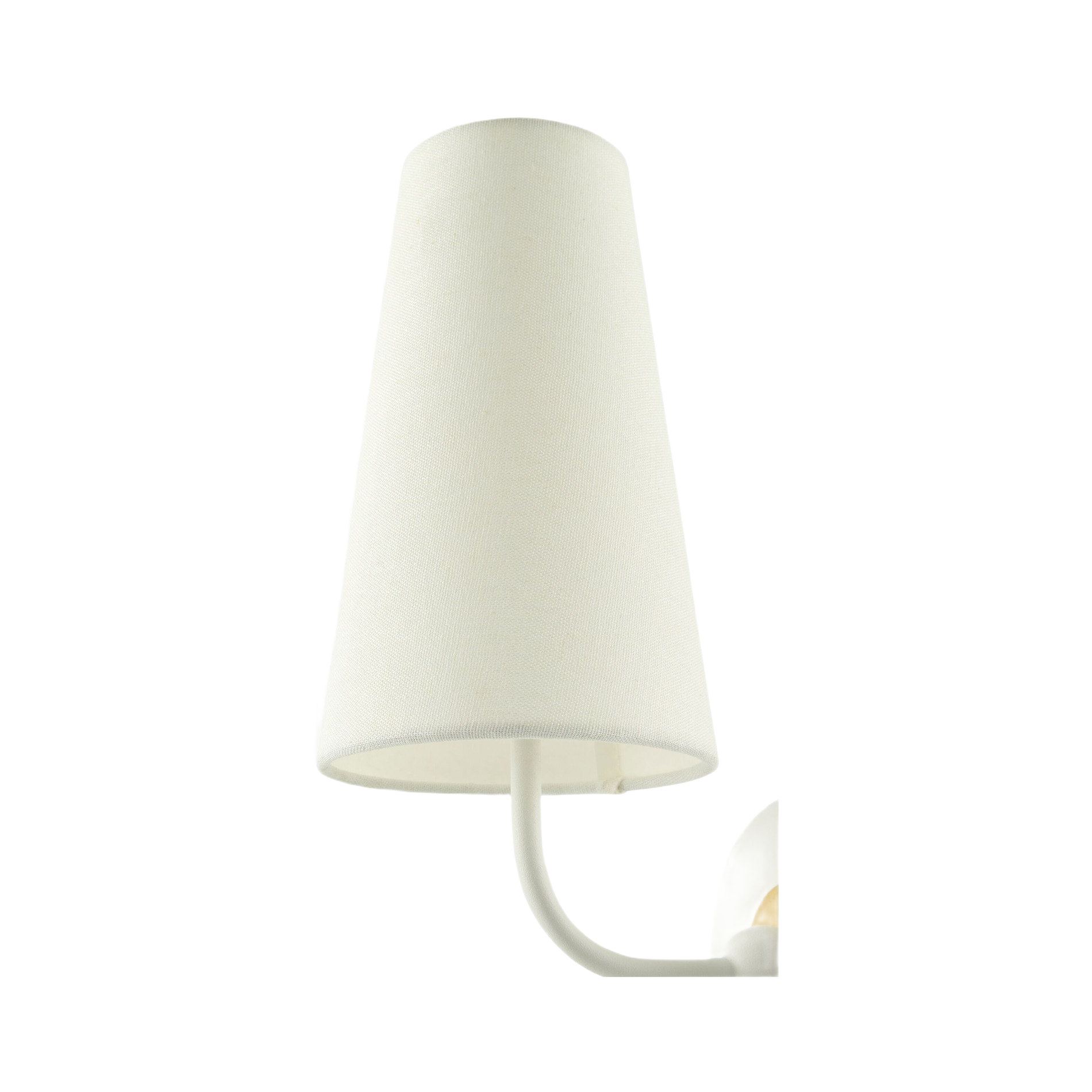 Elowen Wall Sconce