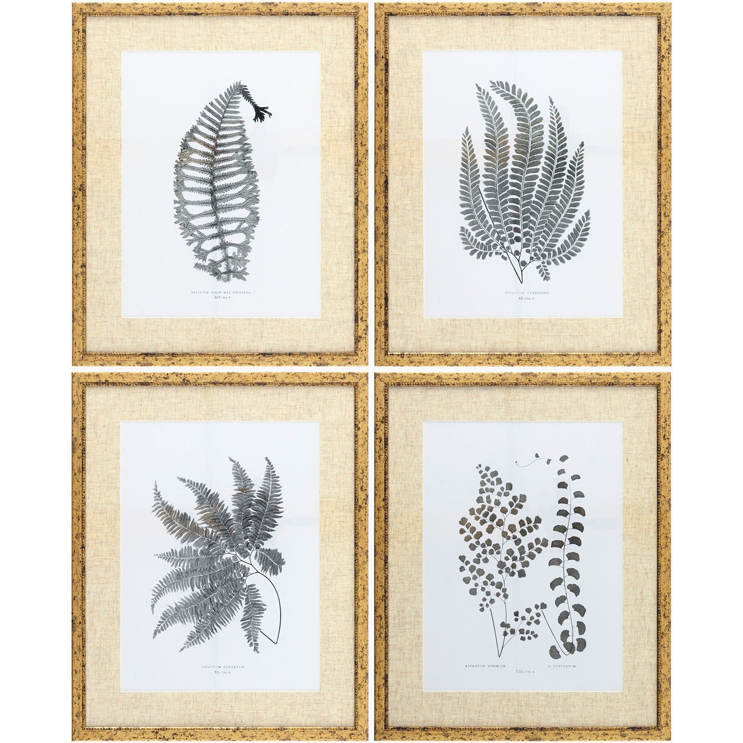 Ferne Framed Art