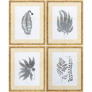 Ferne Framed Art
