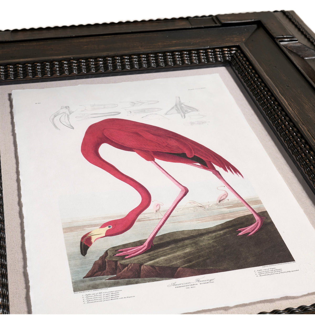 Audubon Birds, Set of 6