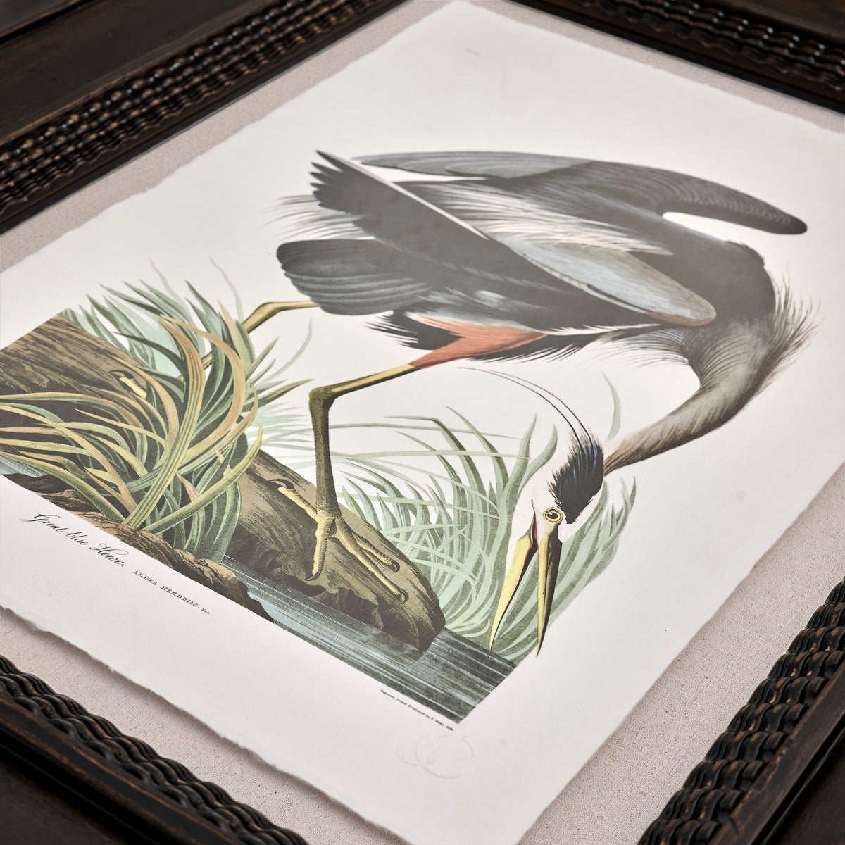 Audubon Birds, Set of 6