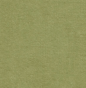 Leaf Green Velvet (Last Chance)