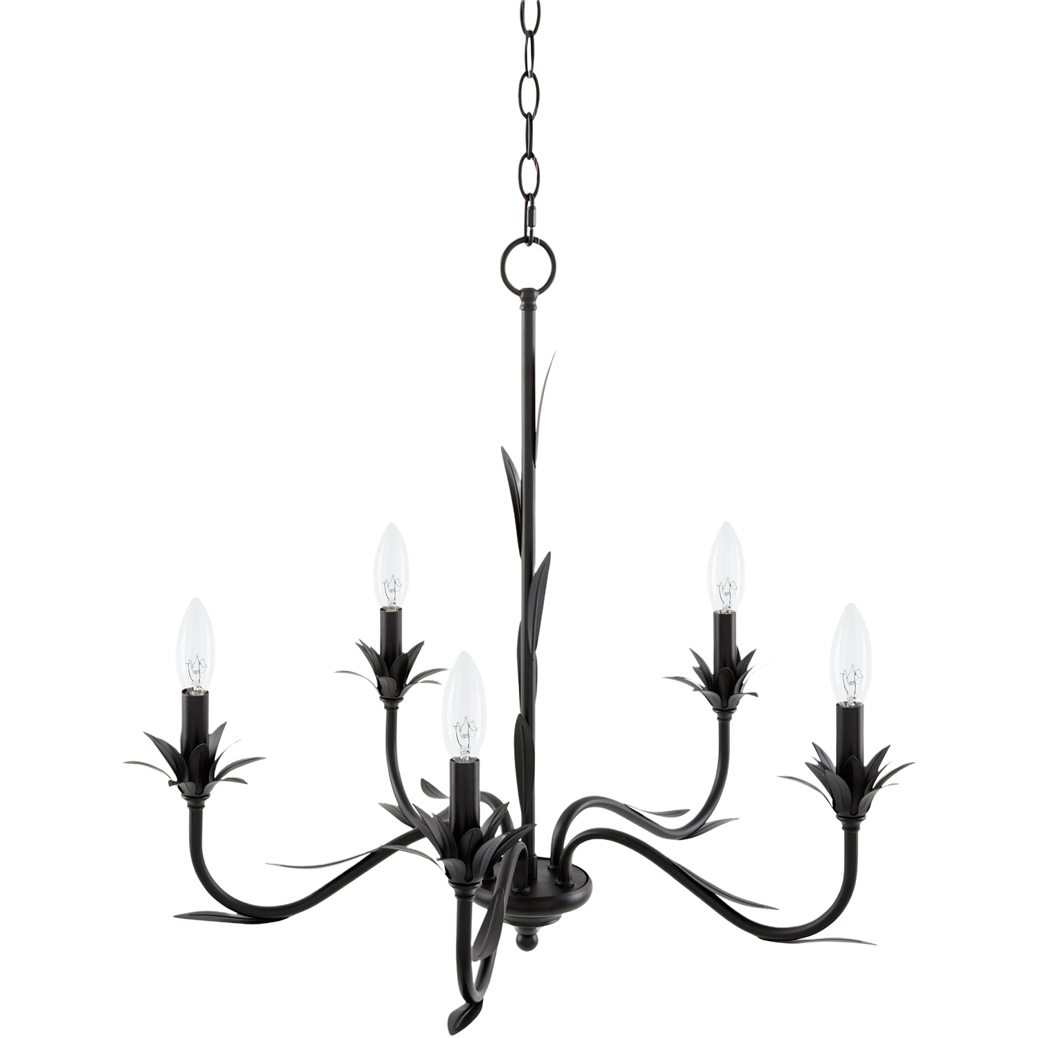 Lustre Chandelier - 5 Light