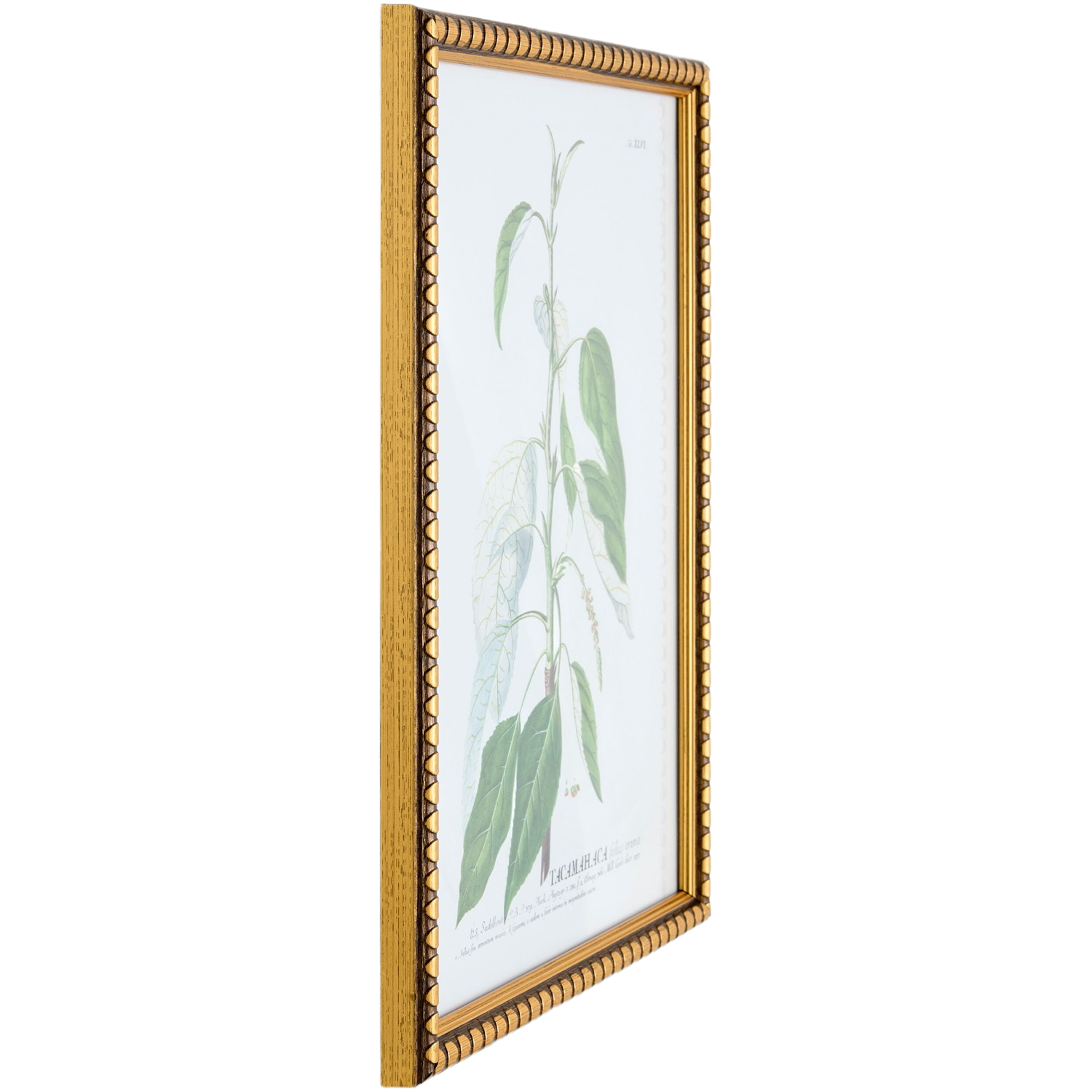 Midsummer Framed Art