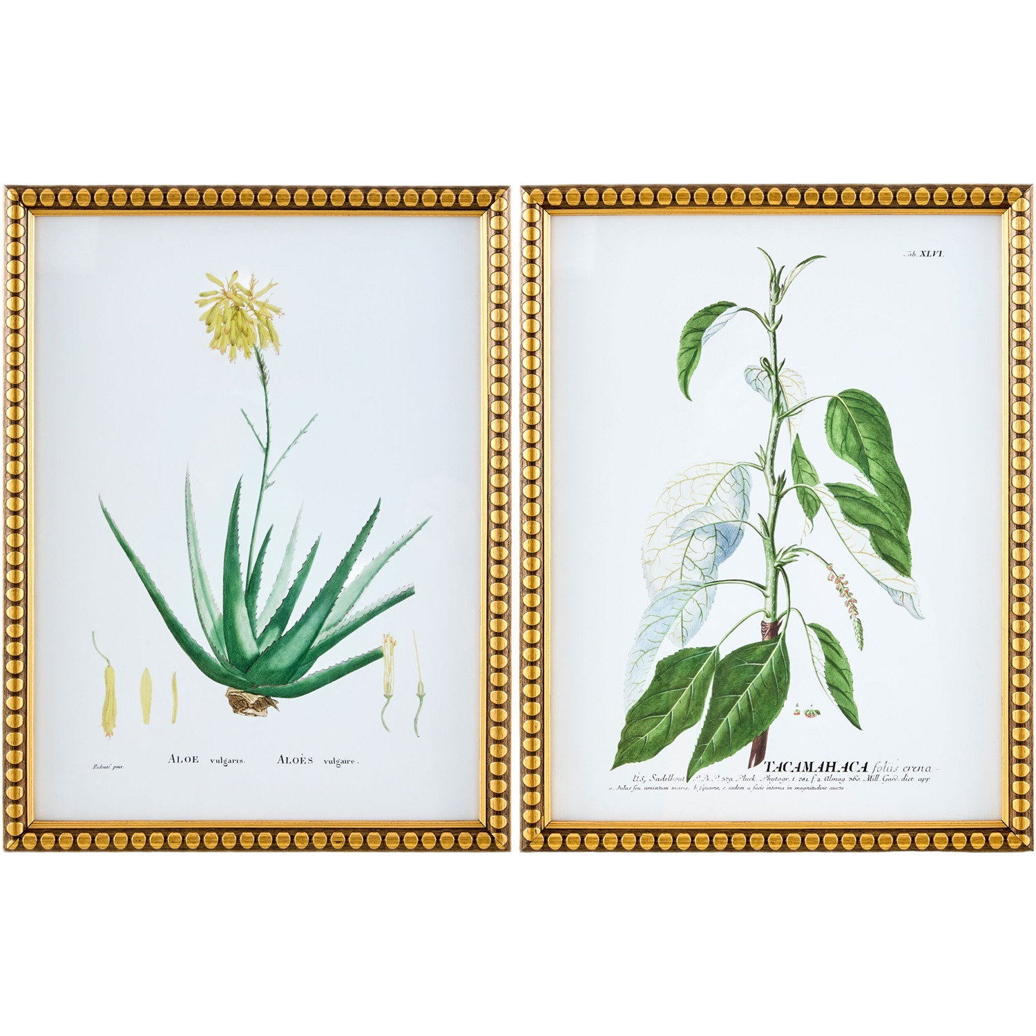 Midsummer Framed Art