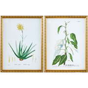 Midsummer Framed Art